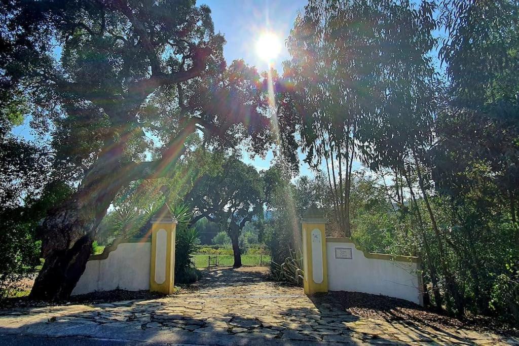 Quinta Flores Ferreira do Zêzere Exterior foto